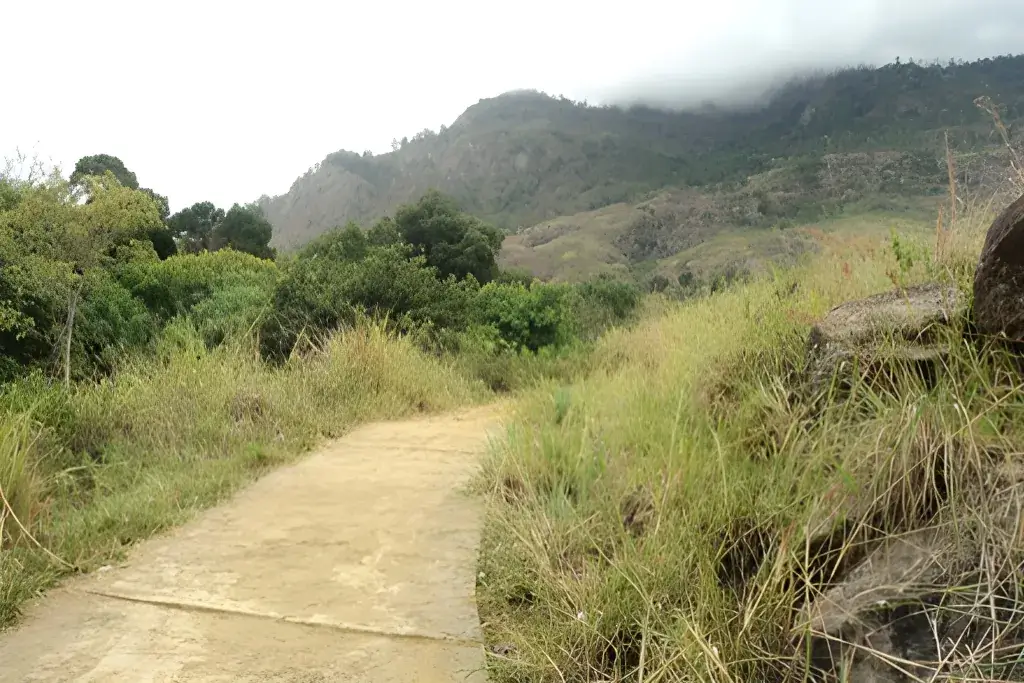 Haldummulla Pradeshiya Sabha (Zone E): Road & Structure Construction Consultation image