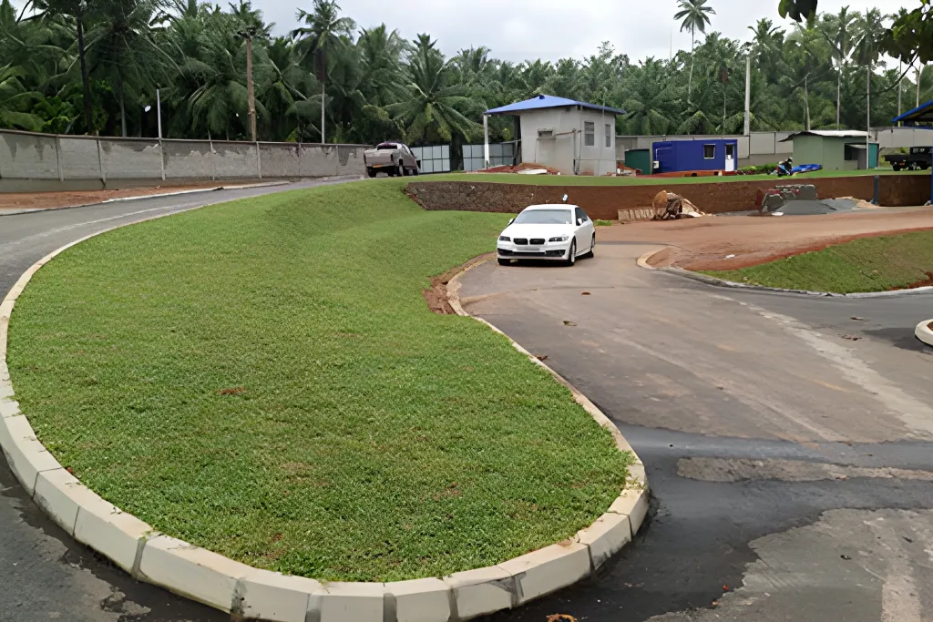 Factory Internal Road Asphalt Paving in Dompe image